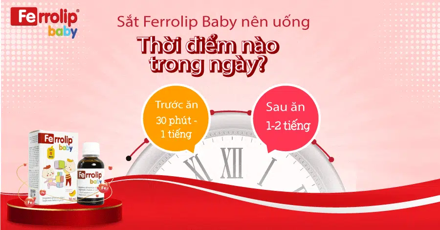 ferrolip baby nên uống lúc nào