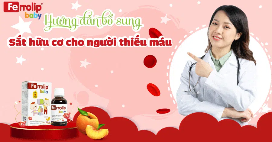 sắt hữu cơ cho người thiếu máu