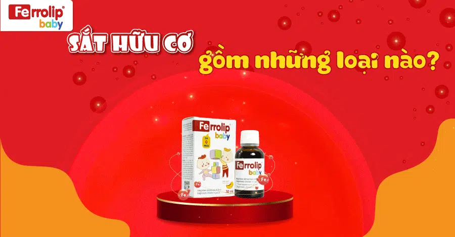 sắt hữu cơ gồm những loại nào