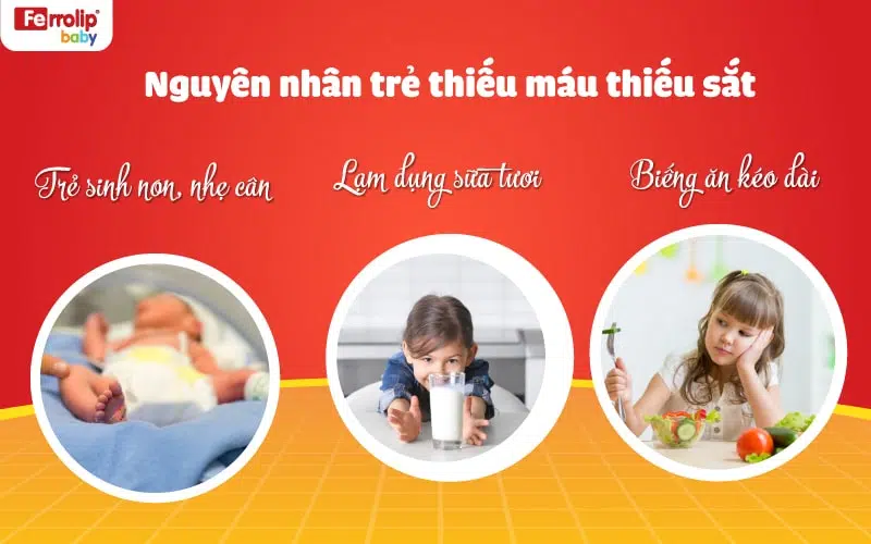 nguyên nhân trẻ thiếu máu thiếu sắt