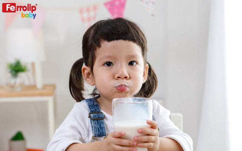 Trẻ dưới 12 tháng không được uống sữa tươi
