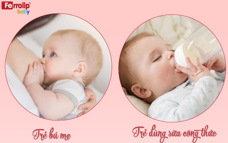 bổ sung sắt cho trẻ bú mẹ và sữa công thức