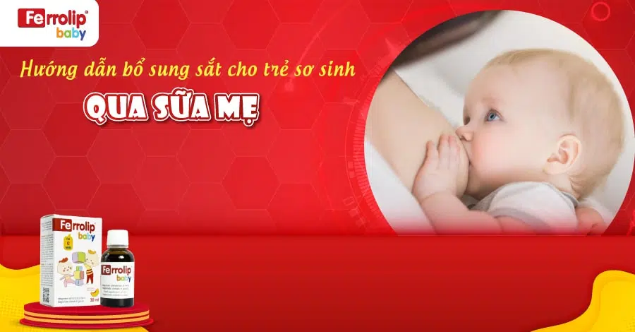 bổ sung sắt cho trẻ sơ sinh qua sữa mẹ