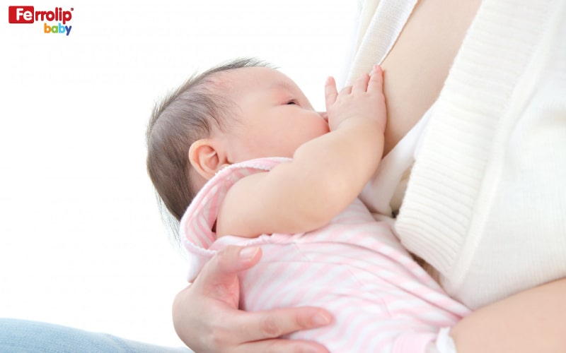 bổ sung sắt cho trẻ sơ sinh qua sữa mẹ từ sớm