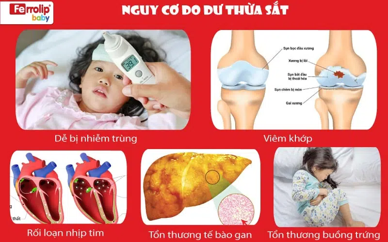 bổ sung sắt dư thừa có sao không