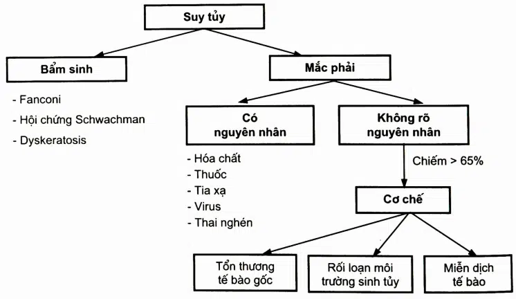 Sơ đồ điều trị thiếu máu do suy tuỷ ở trẻ em