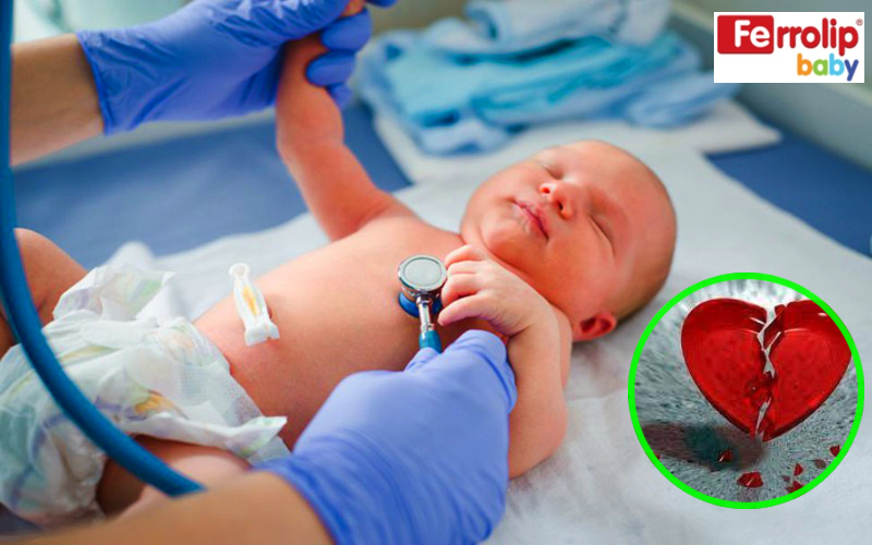 Thiếu máu ở trẻ sơ sinh gây ảnh hưởng đến tim mạch