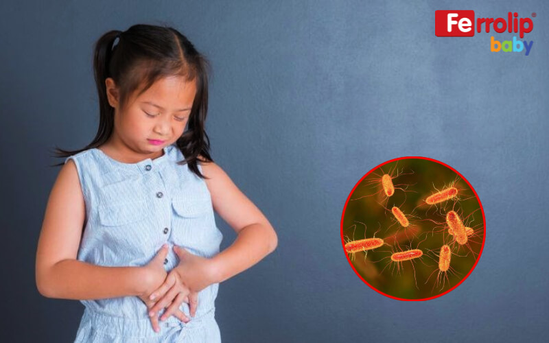 Trẻ rối loạn tiêu hoá cần được bổ sung sắt và men vi sinh