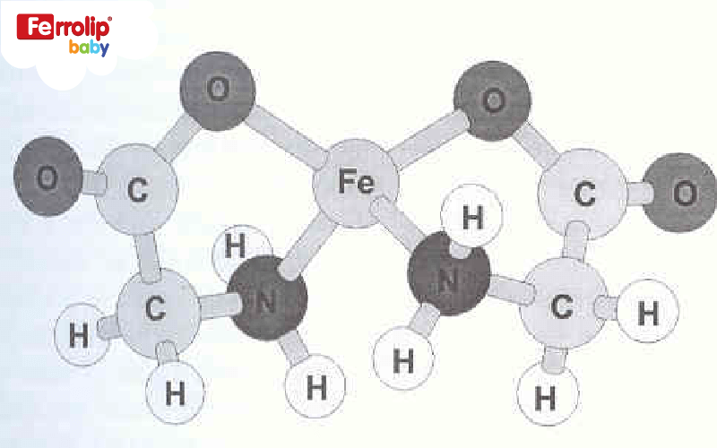 Cấu trúc sắt amin dạng chelate