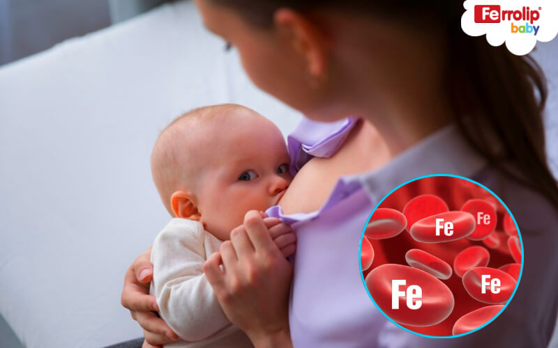 Bú sữa mẹ hoàn toàn trong 6 tháng đầu làm giảm tỉ lệ tử vong ở trẻ