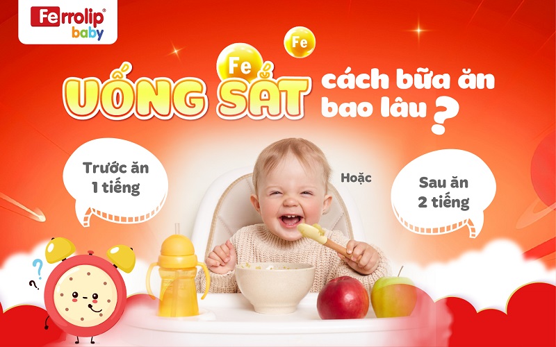Thời điểm lý tưởng để bổ sung sắt là 1 giờ trước ăn hoặc 2 giờ sau bữa ăn